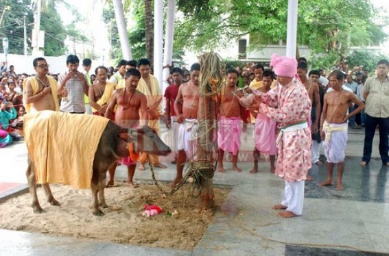 Cruelty mars holy Durga-puja, bloodshed marks Maha Navami Cruelty mars holy Durga-puja, bloodshed marks Maha Navami